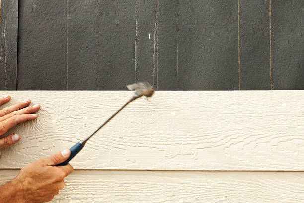 Best Siding Removal and Disposal  in Morganfield, KY